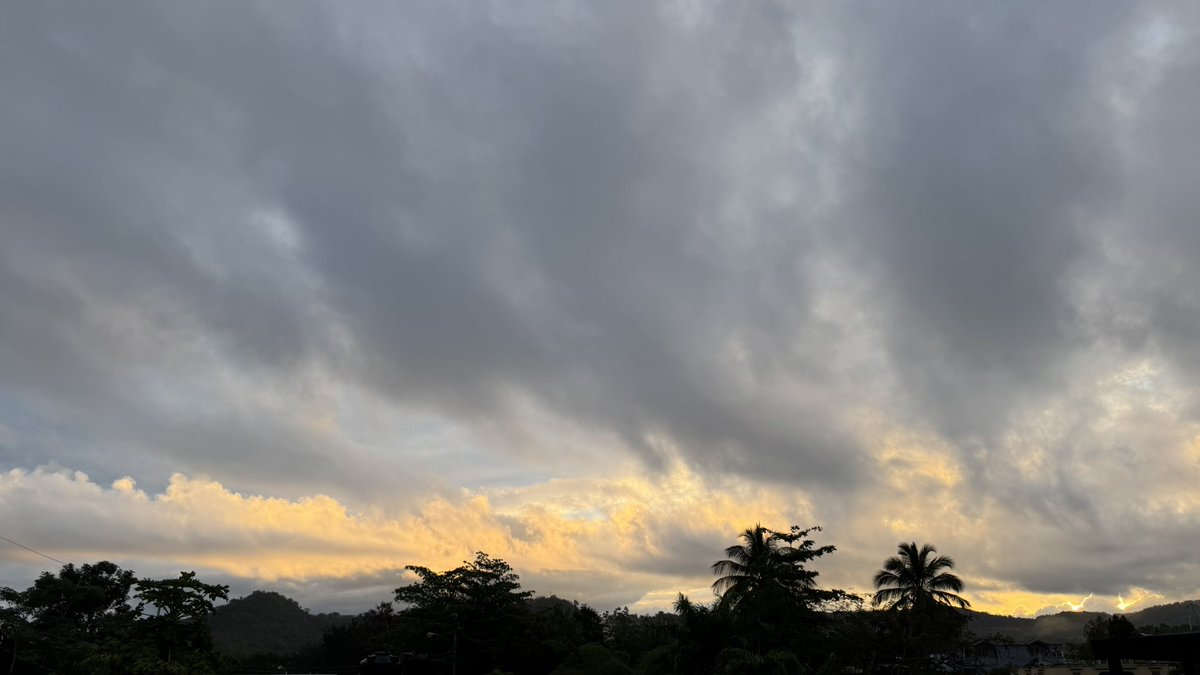 Leidy Díaz tweet media