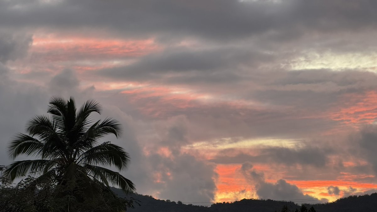 Leidy Díaz tweet media