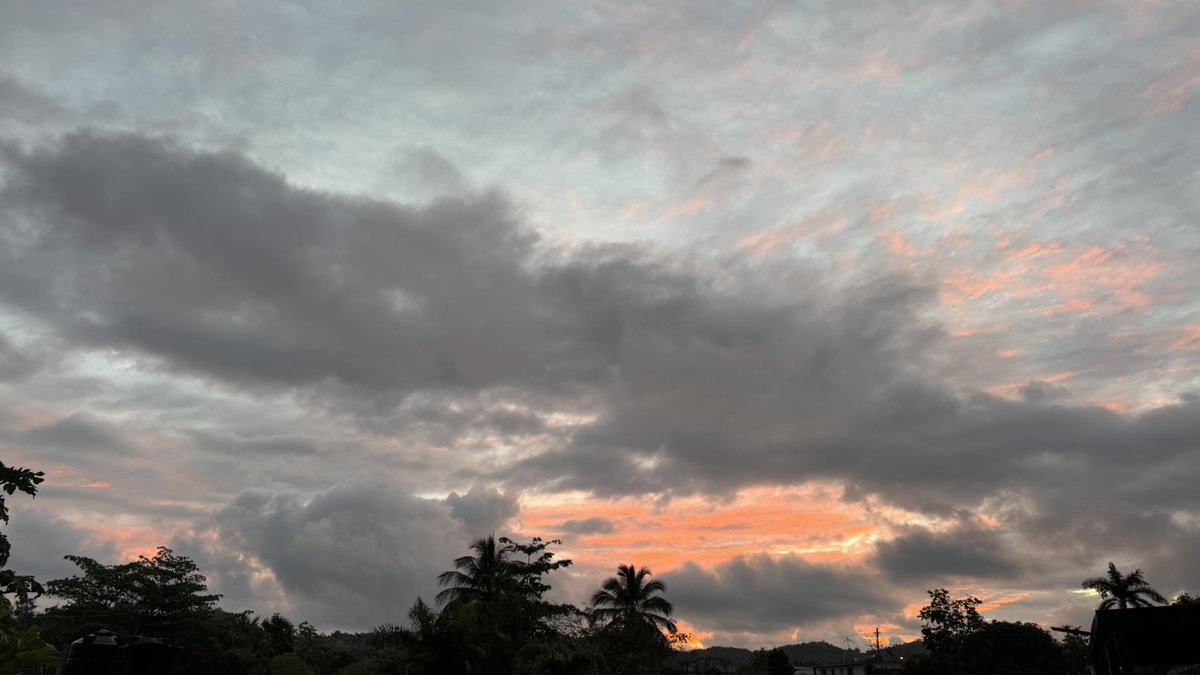 Leidy Díaz tweet media