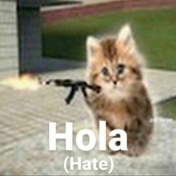 beki ⋆˚꩜｡݁ ˖Ი𐑼⋆ tweet media