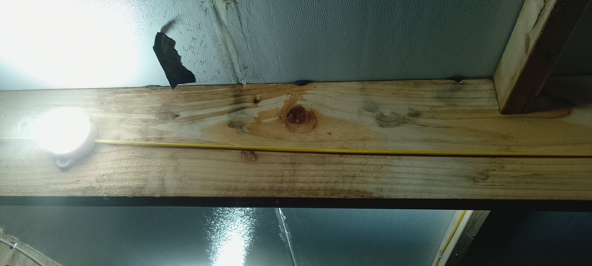 ianeditz tweet media