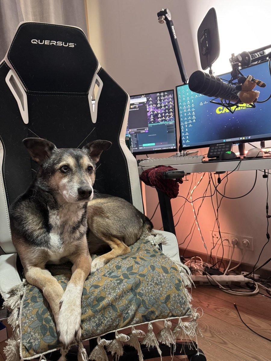 Camms ✨ tweet media