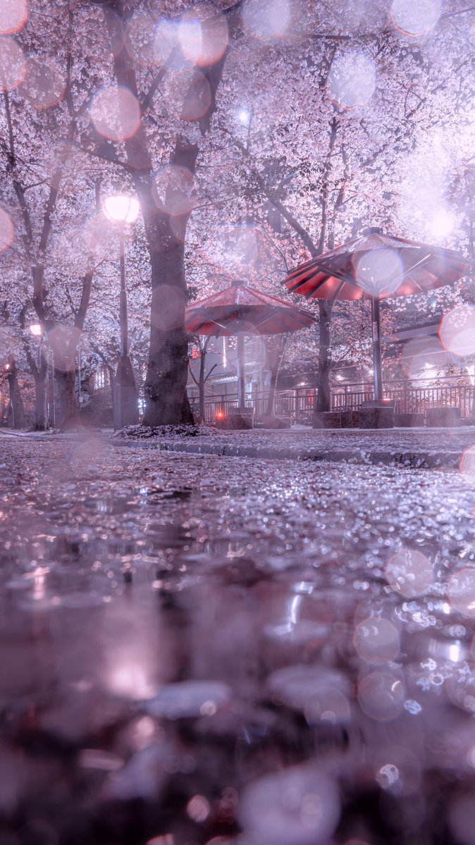 TAKUYA∝ tweet media