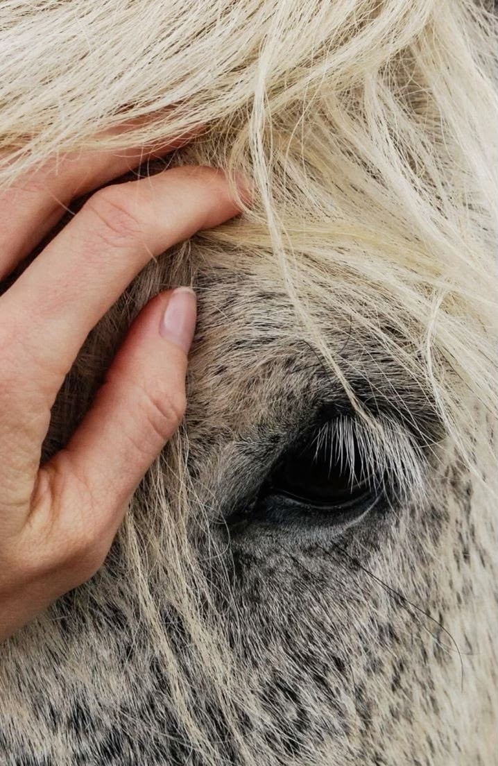 Mar 🌊 tweet media