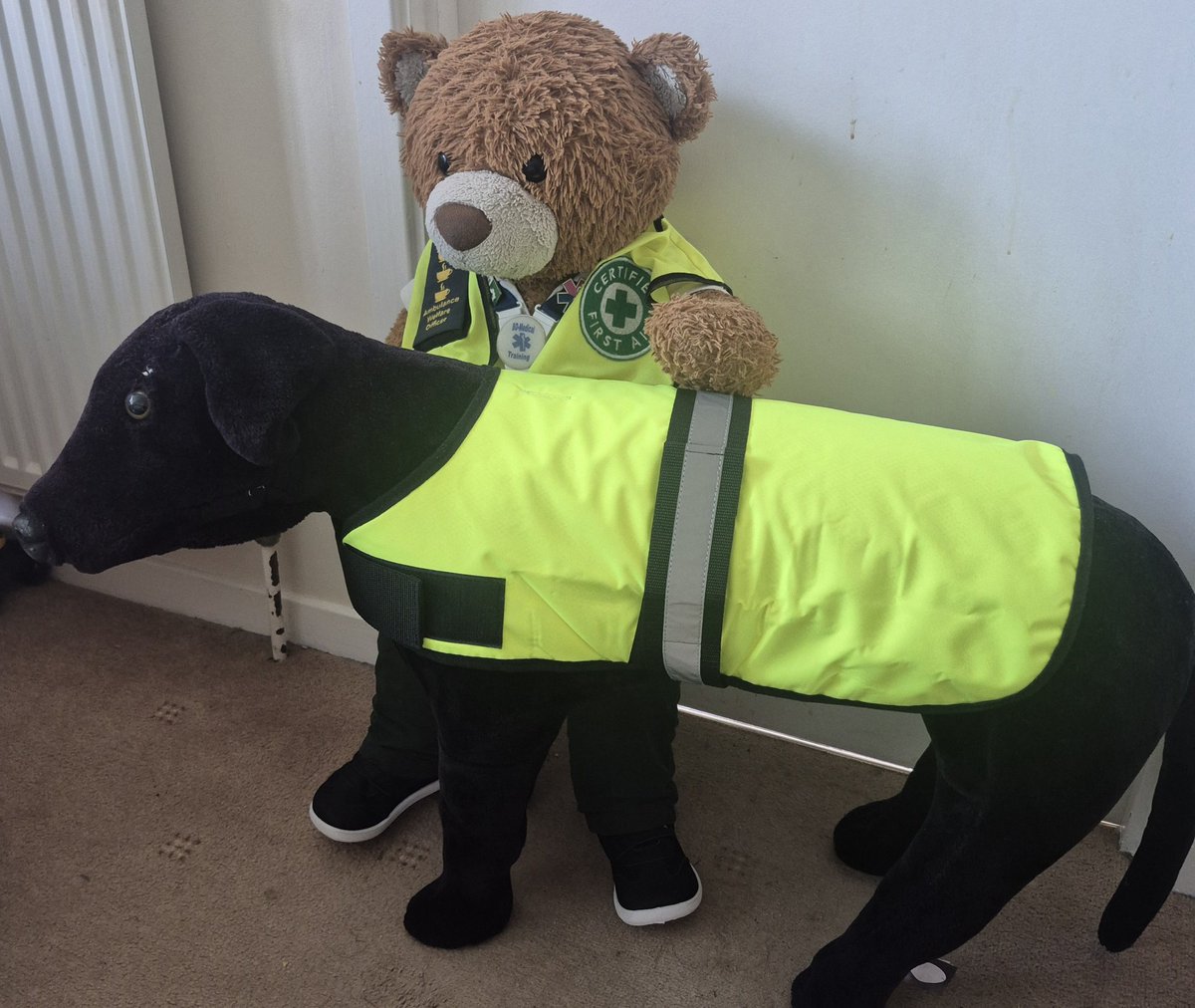 Bear™ 🐻 tweet media