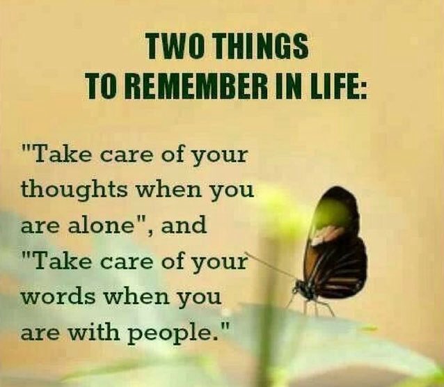 Kylie Riordan tweet media