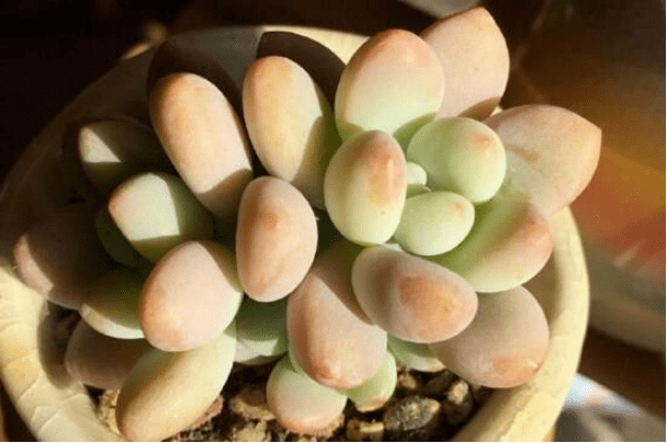 فارس tweet media