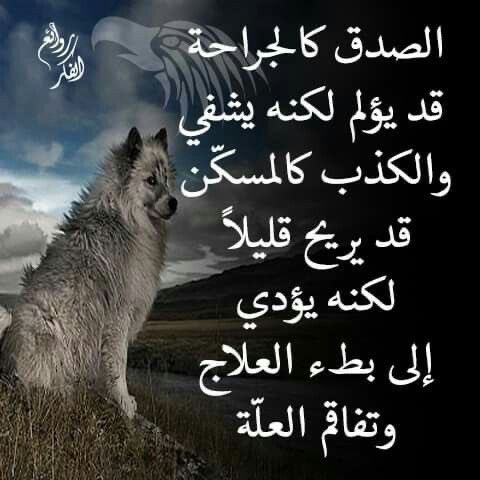 رفيع الشآن tweet media