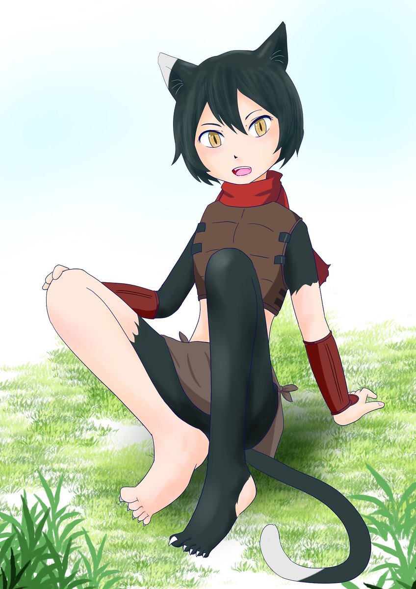 西表山猫 tweet media