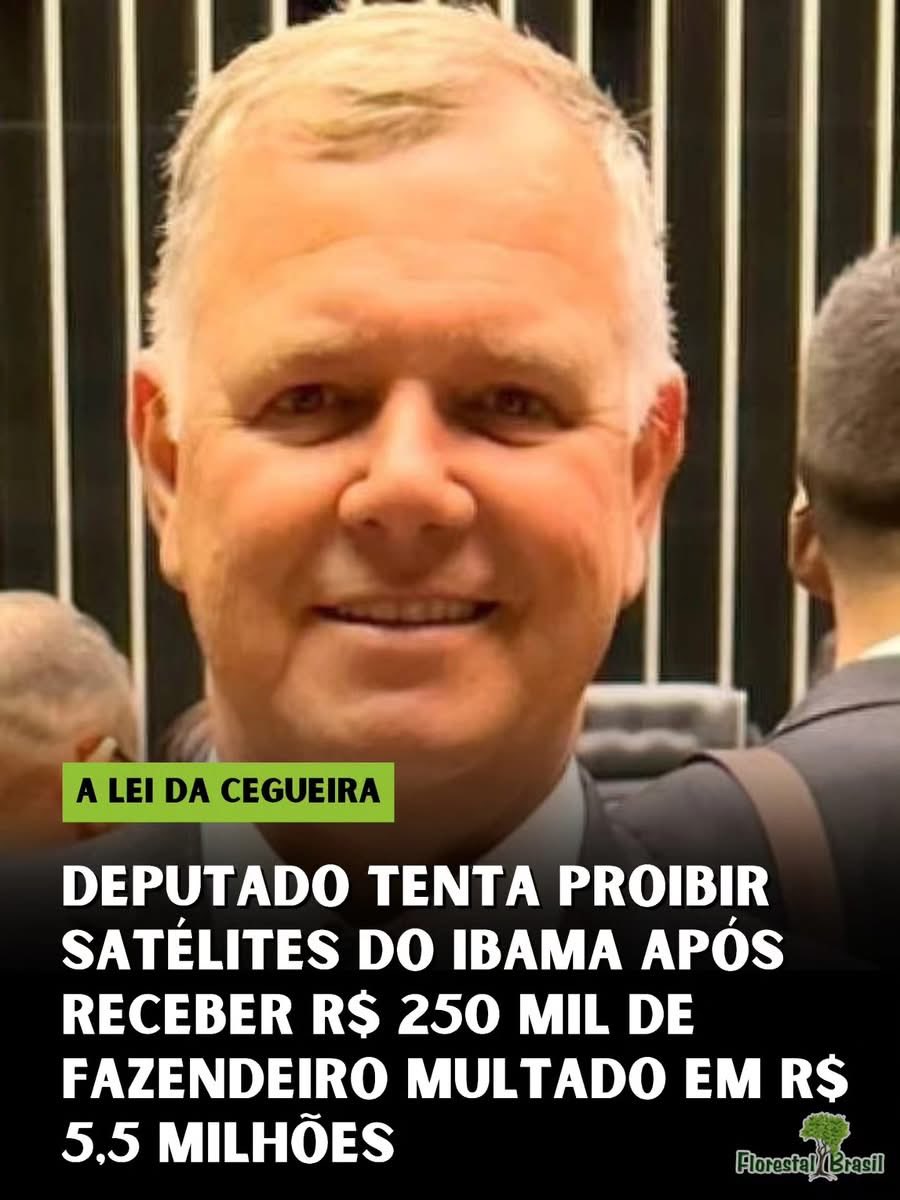Harlen Carvalho tweet media