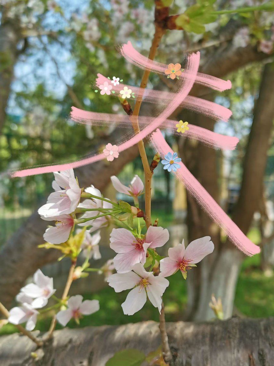 Lilyaxu🌸 (@lilyaxu) on Twitter photo 