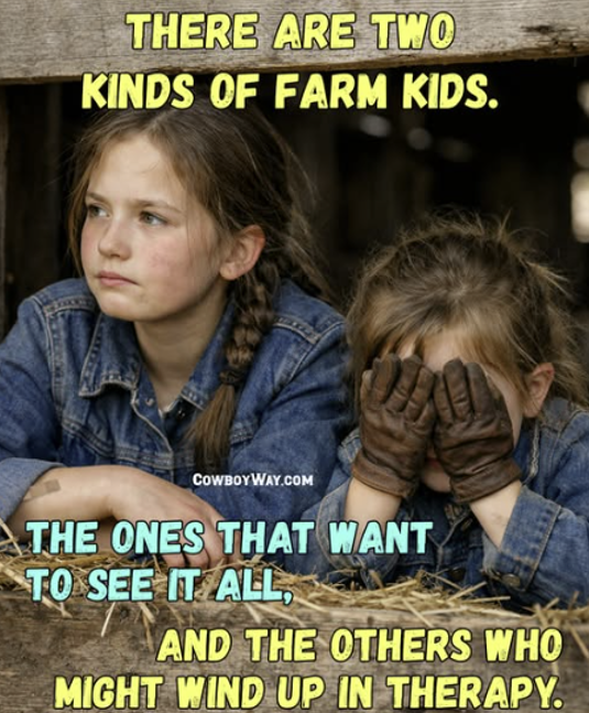 Tom Leffler tweet media