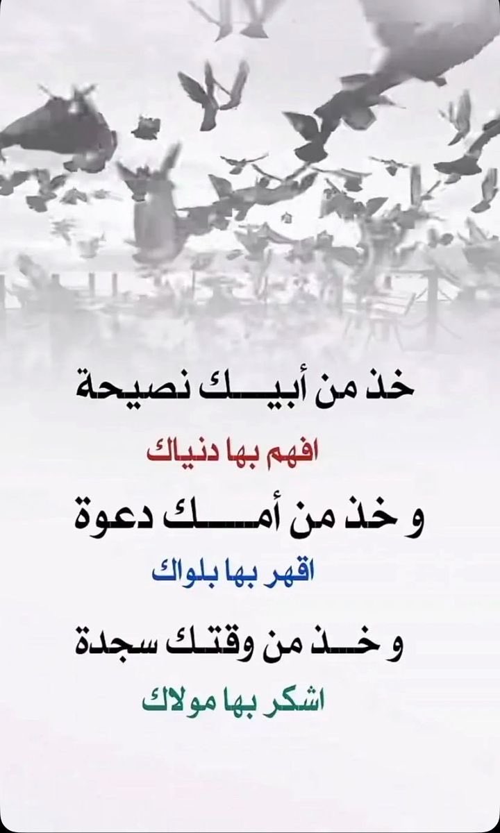 رفيع الشآن tweet media