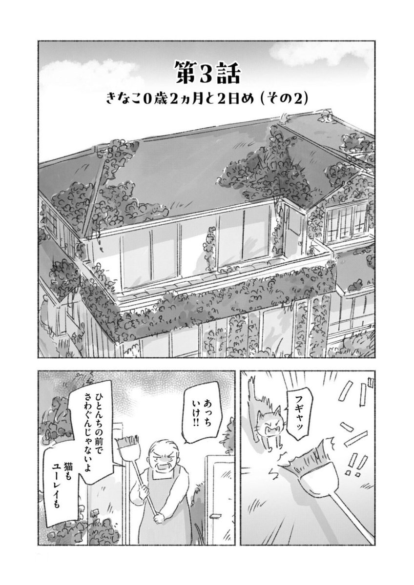 老夫婦を助けたい小学生と子猫だけど…

(2/6) 