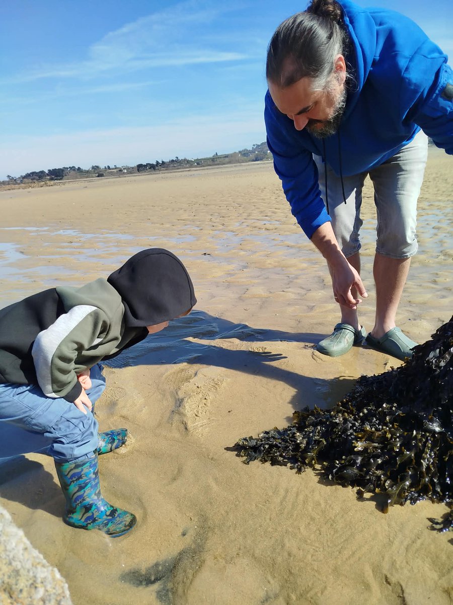🔎🦀🌞💖
Apprentissage du respect de la vie aquatique. On regarde, on ne touche pas. #Plage #Bretagne #Gouermel