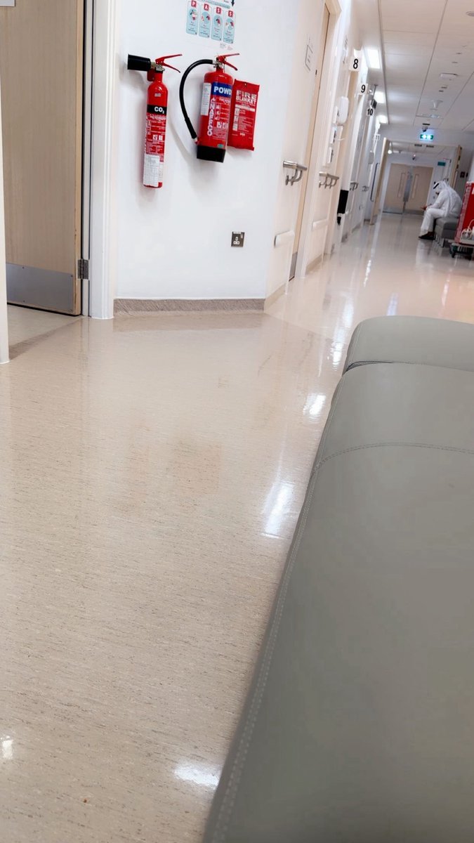 🇦🇪𓆩𝓝𝓸𝓷𝓪 𝓐𝓵𝓺𝓾𝓫𝓪𝓲𝓼𝓲 𓆪🇦🇪 tweet media