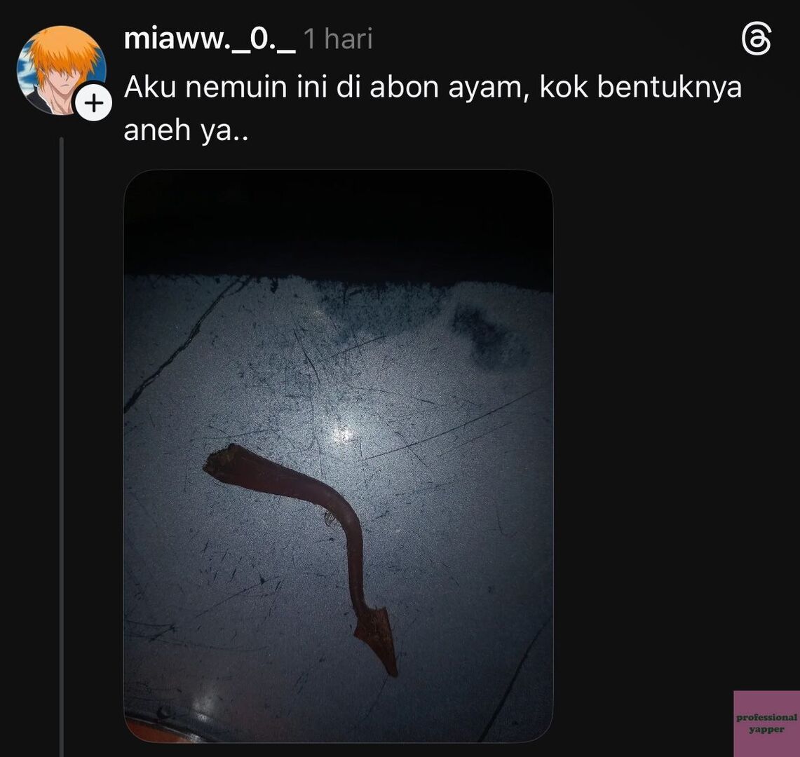 YAPPINGFESS tweet media