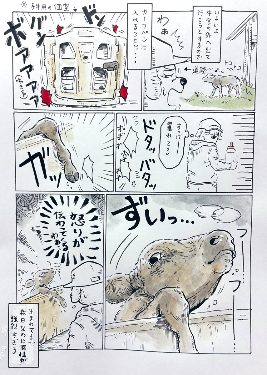 牛川いぬお tweet media