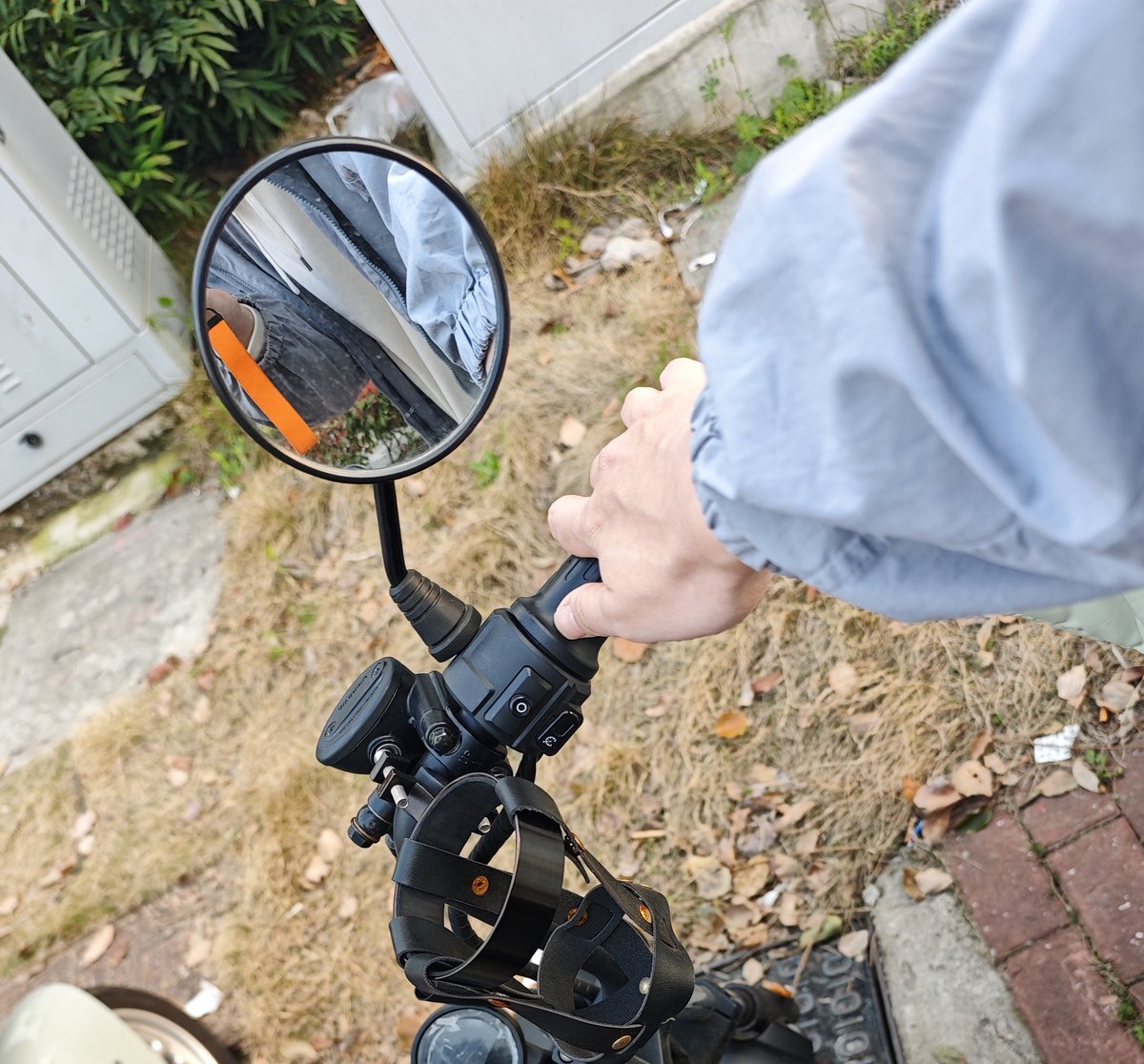 狸花猫国太子 tweet media