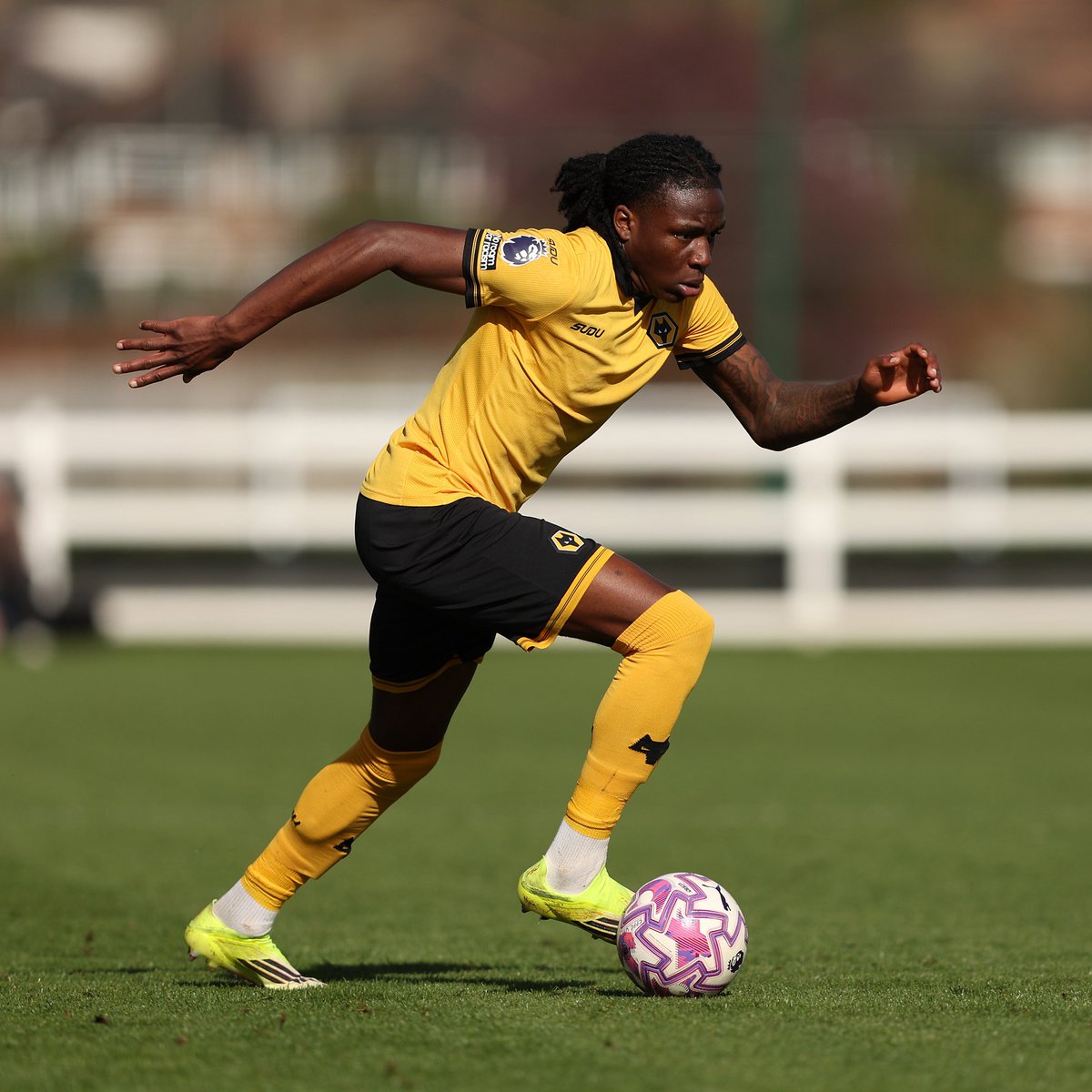 Wolves Academy tweet media