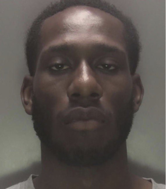 Nononsense tweet media