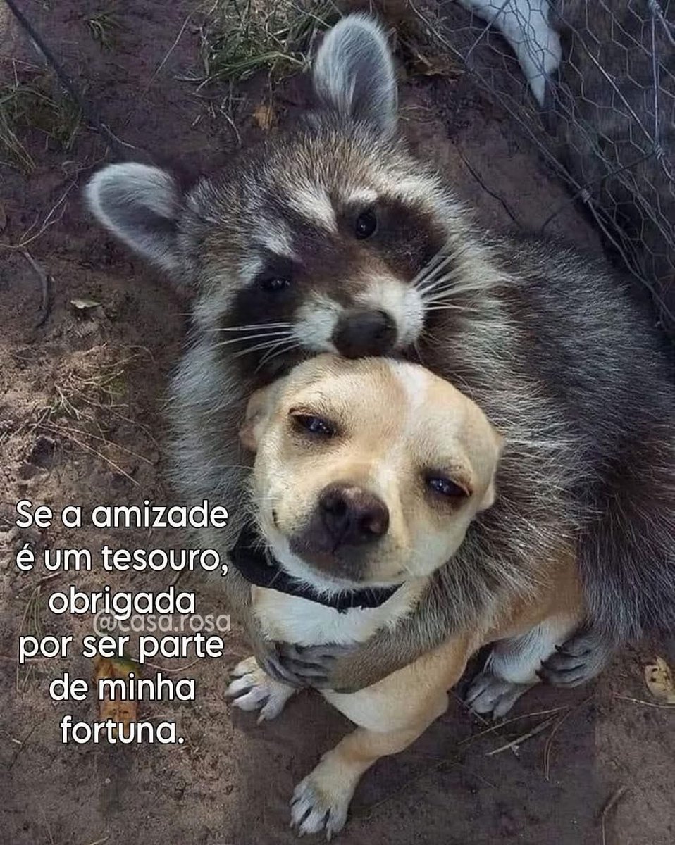 Bom dia e ótima quarta feira a todos 👍🙏🙏