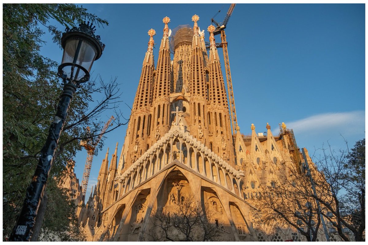 빨리핑 tweet media