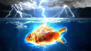 Action Simon tweet media