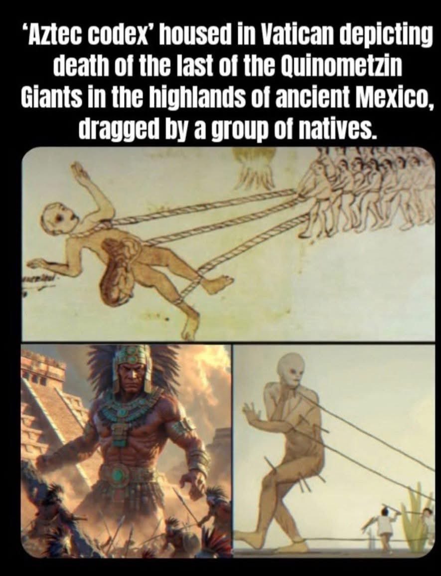 🧬Maxpein🧬 tweet media