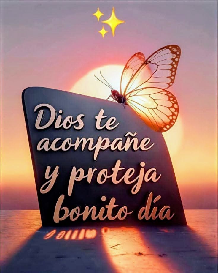 🌺𝓥𝓲𝓬𝓴𝔂 𝓛𝓸𝓹𝓮𝔃 💙🥮🥧 tweet media