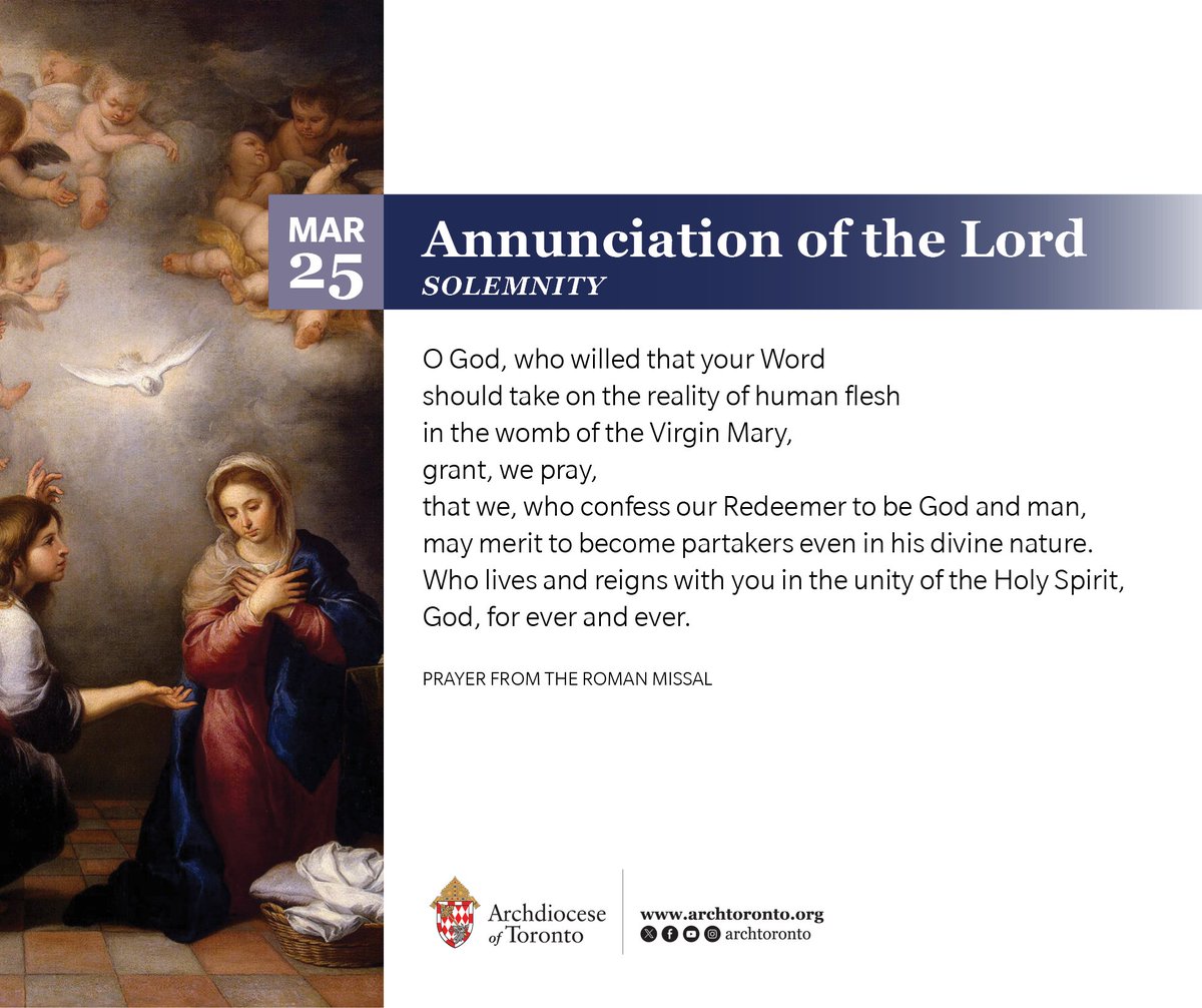 Archdiocese of Toronto tweet media