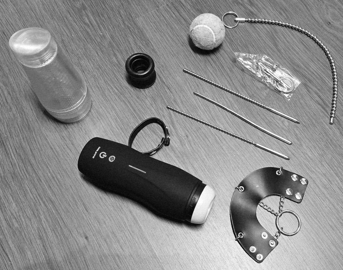 HorNy (car) tweet media