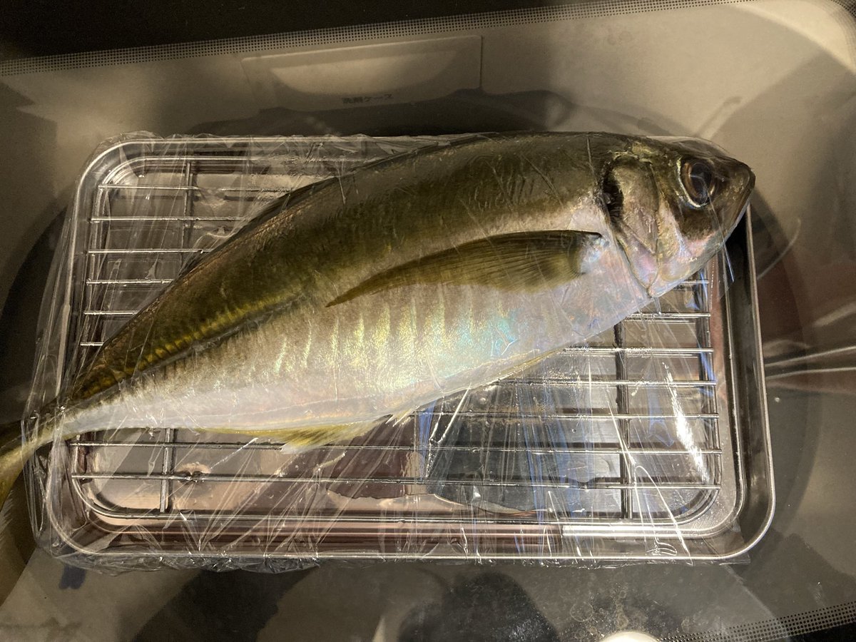 よしださん（変態ビシアジおじさん） tweet media