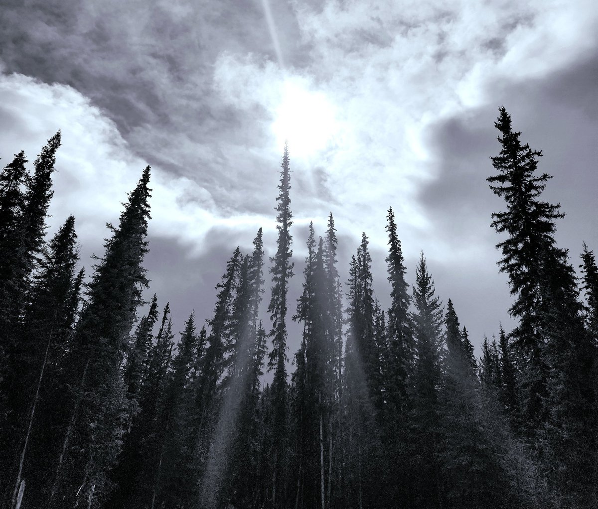 dave🏴 tweet media