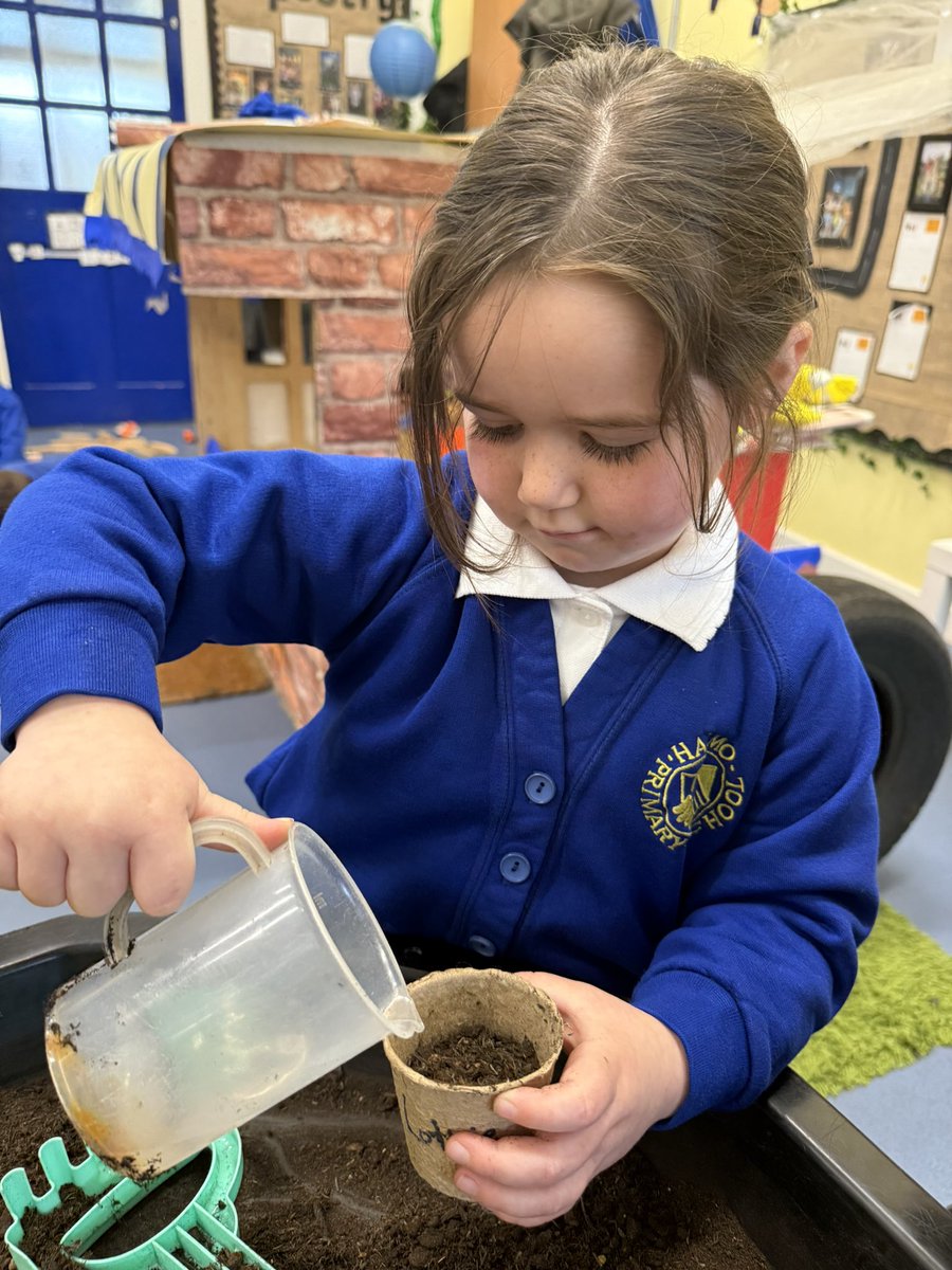 Haimo Primary School tweet media