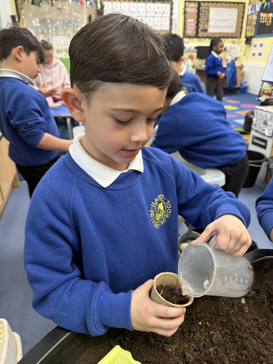 Haimo Primary School tweet media