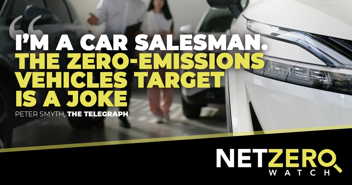 Net Zero Watch tweet media
