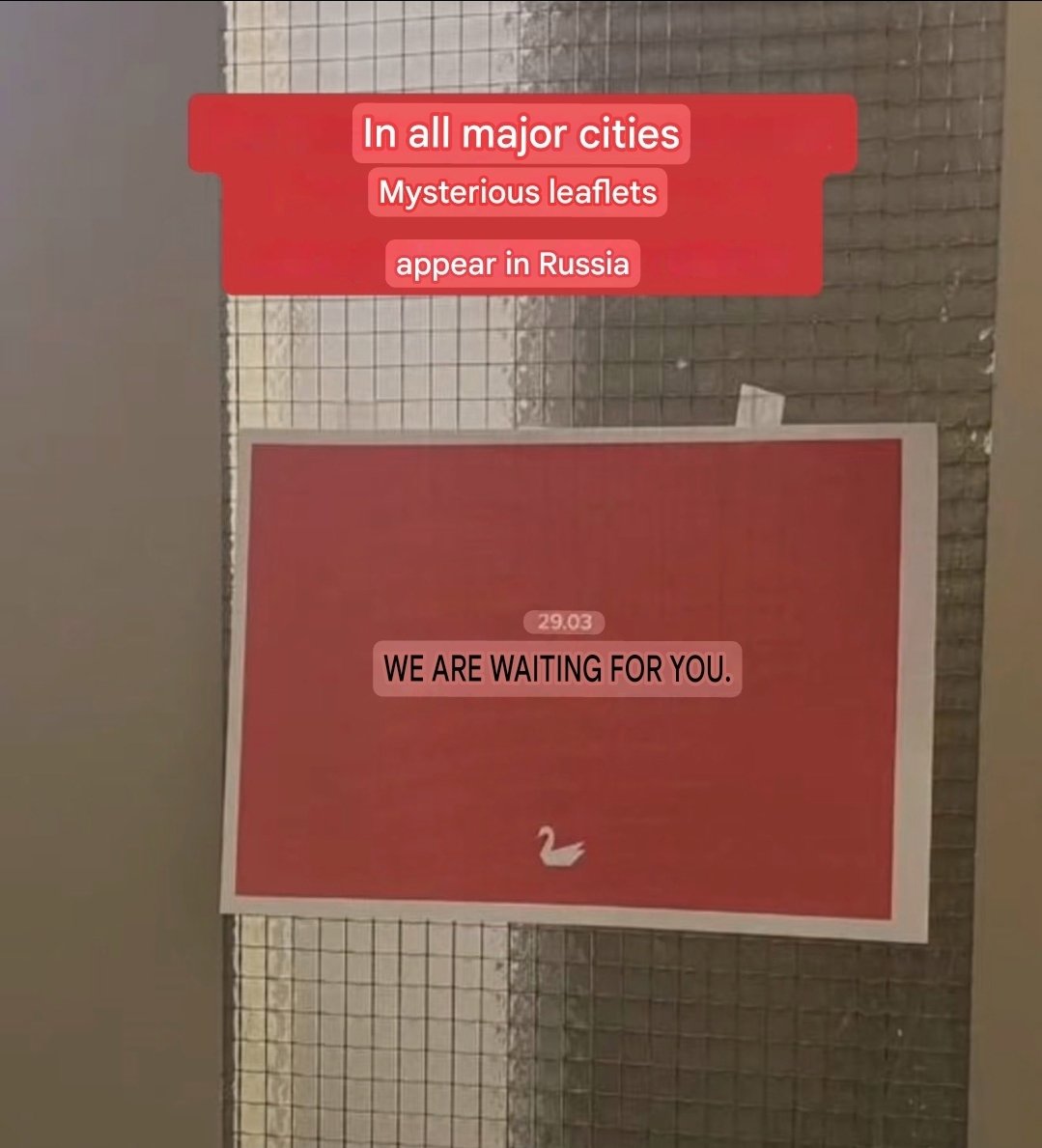 Jay in Kyiv tweet media