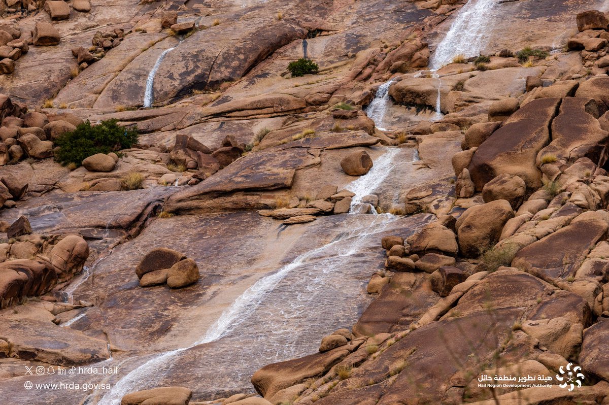 هيئة تطوير منطقة حائل tweet media