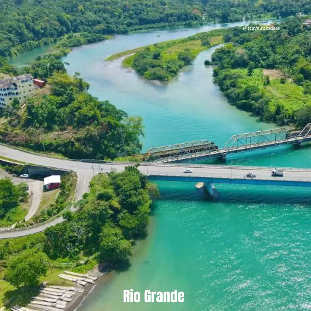 Travel Diaries tweet media