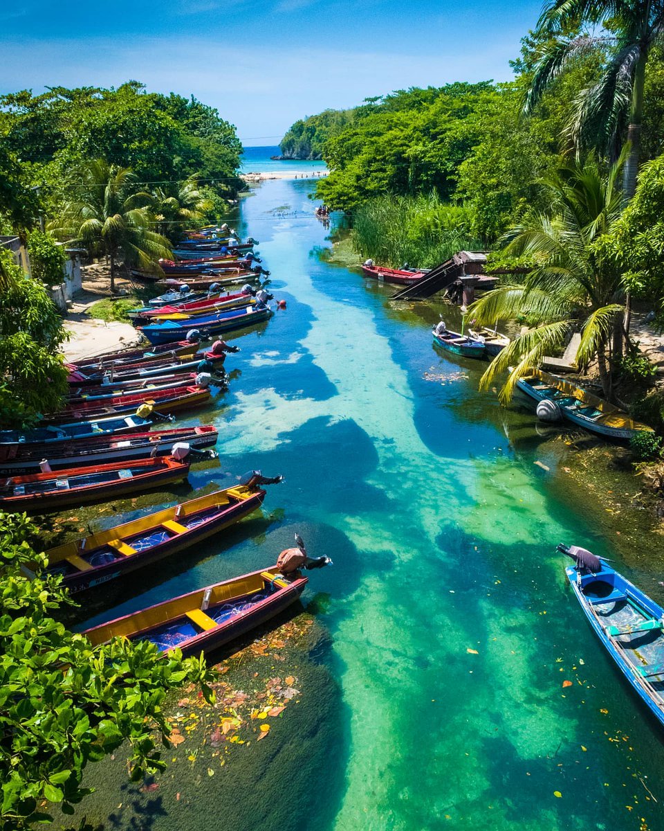 Travel Diaries tweet media