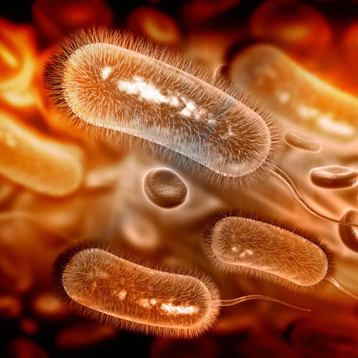 Alfred 🏄🏻♀️ tweet media