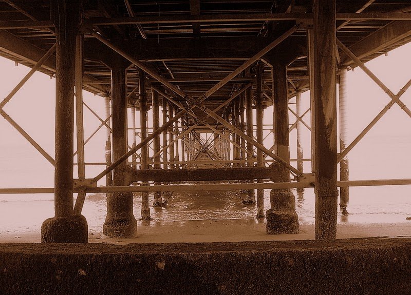 Malcolm Clayton tweet media