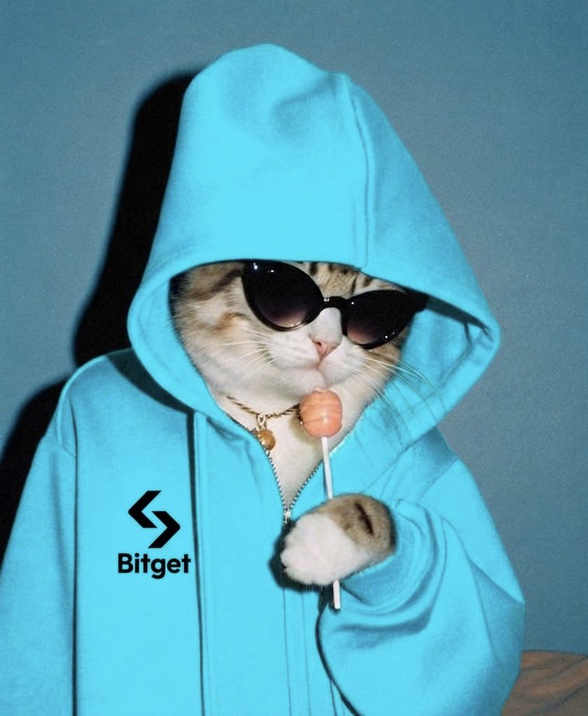 BitgetSriLanka tweet media