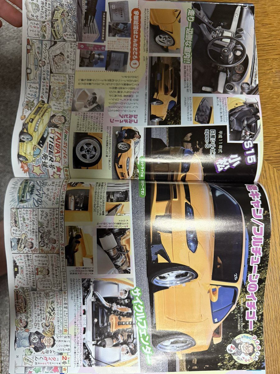 タイガ🍋 tweet media