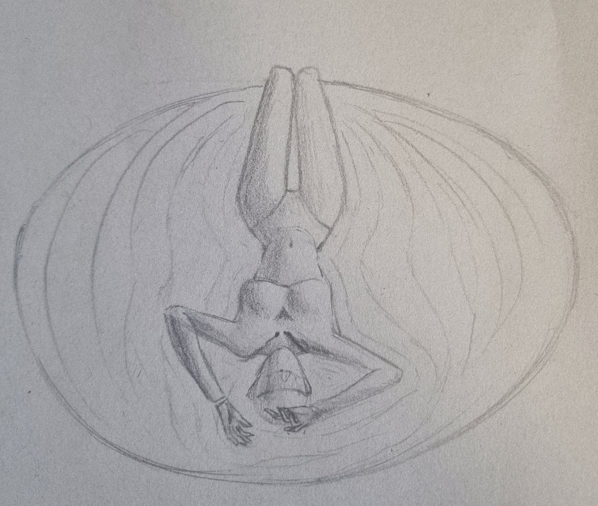 흙묻은 감자 tweet media