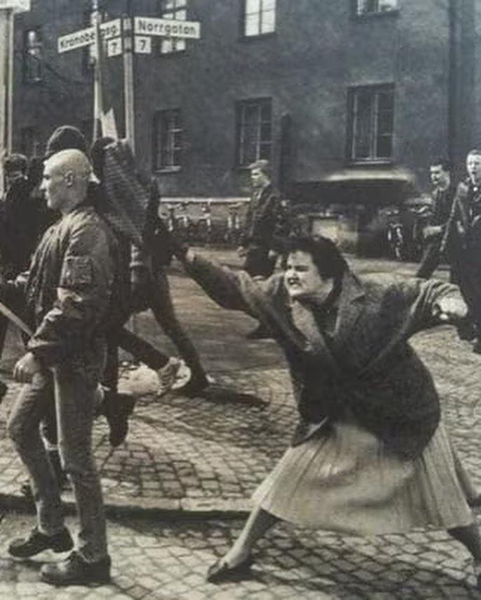 Dominik Zając tweet media