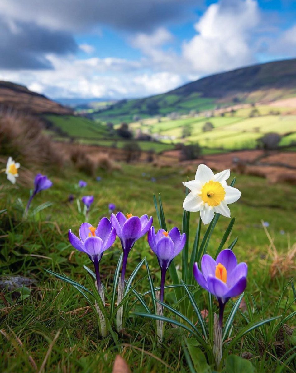 This is Ireland 🇮🇪☘️ tweet media