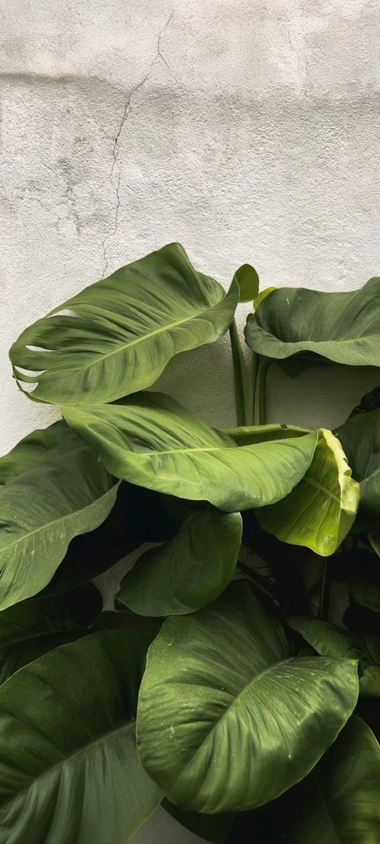 Heath 𝕏 tweet media