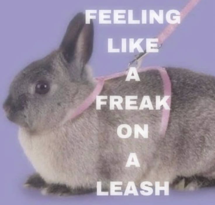 lou ʚɞ tweet media